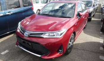 TOYOTA AXIO WXB