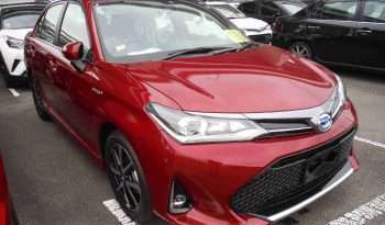 Corolla Axio